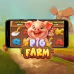 pig farm pragmatic